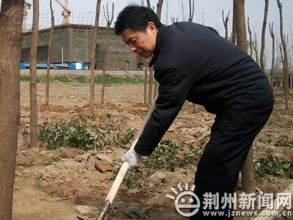 书记市长带头 荆州千人义务植树为古城添新绿