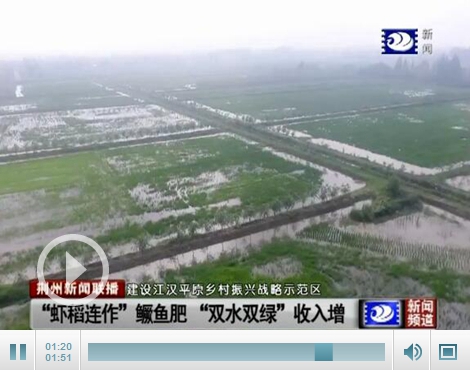 荆州区弥市镇双马村走现代农业绿色高效发展之